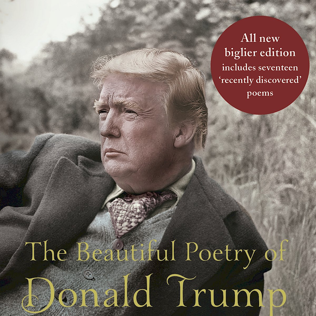 Image Donald Trump image beautiful image beautiful - The Beautiful Poetry of Donald Trump by Rob Sears – Canongate Books