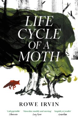 Cover artwork for 'Life Cycle of a Moth' by Rowe Irvin