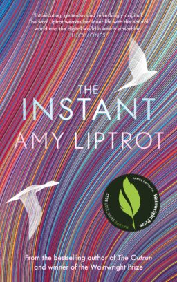 Cover artwork for 'The Instant' by Amy Liptrot